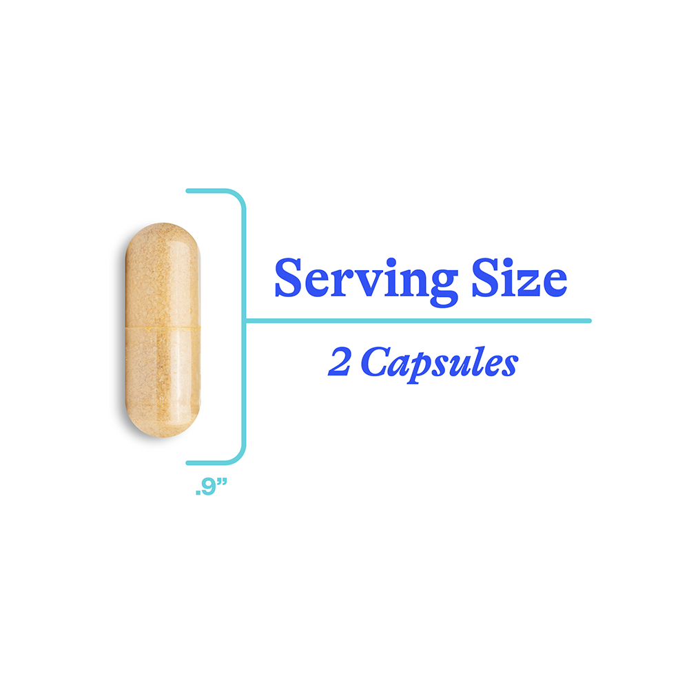 Histamine Nutrients Daily Digestive Wellness Support with Everyday Routines