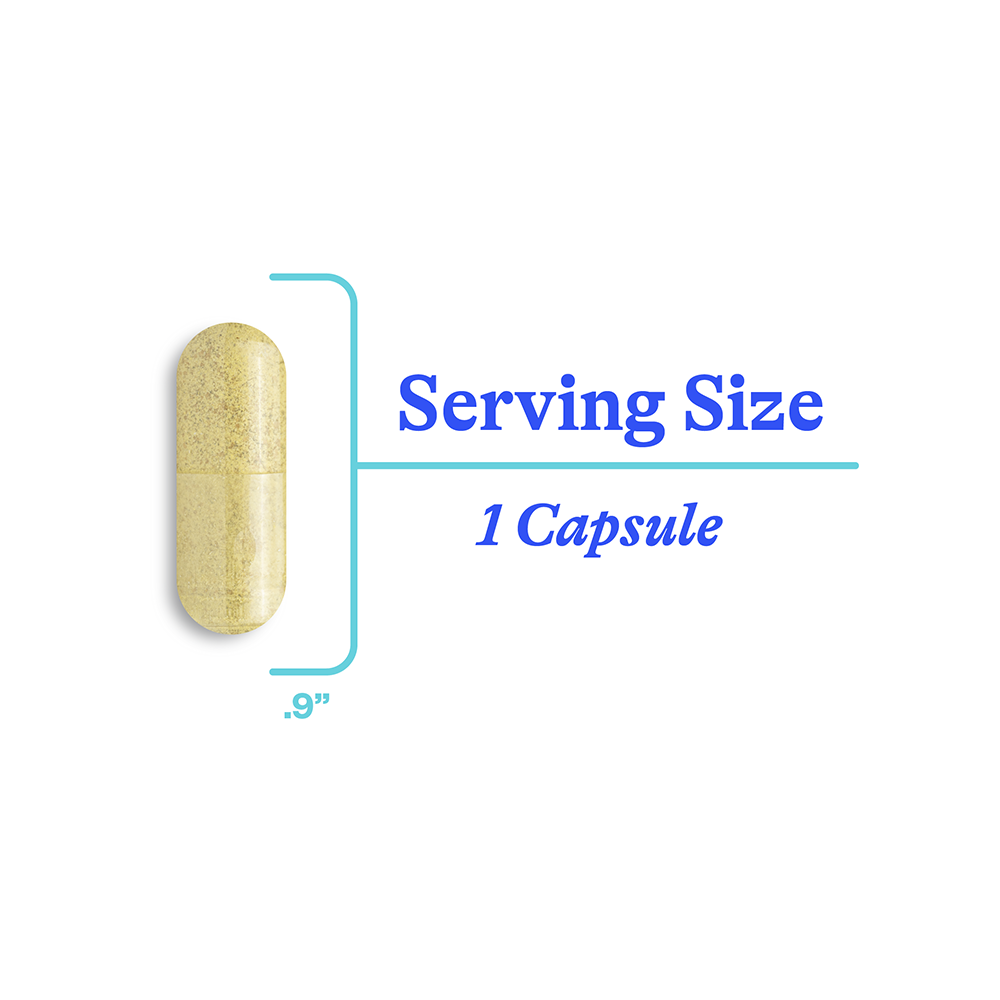 HistaminX Daily Digestive Wellness Support for Everyday Routines