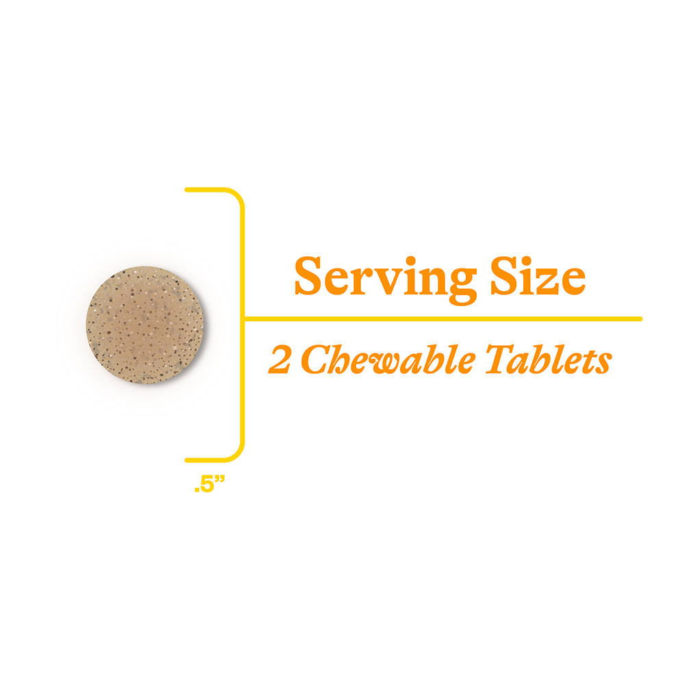 Kids Multivitamin Chewable Easy Chewable Supplement for Everyday Nutrition