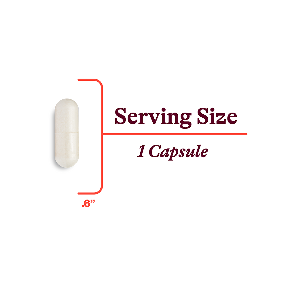 L Methylfolate Daily Vitamin Support for Convenient Nutrition Routines