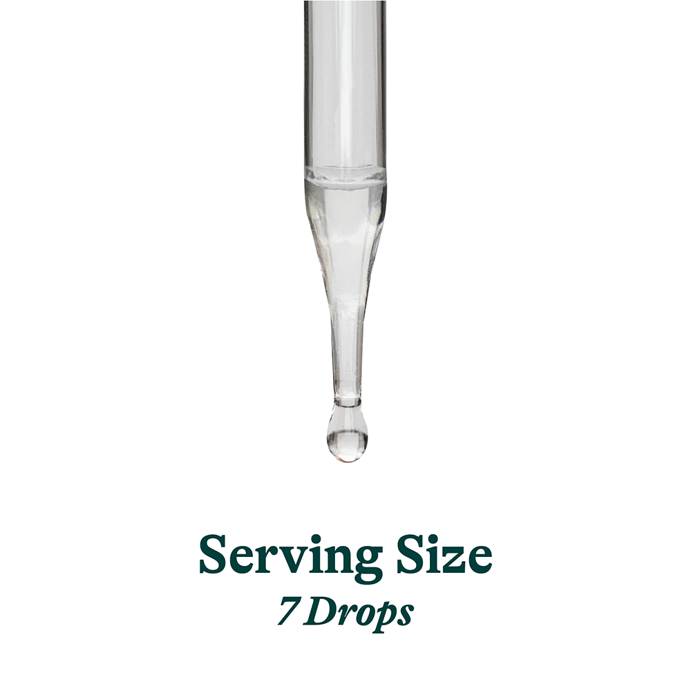Lactase Drops Daily Digestive Wellness Support for Everyday Routines