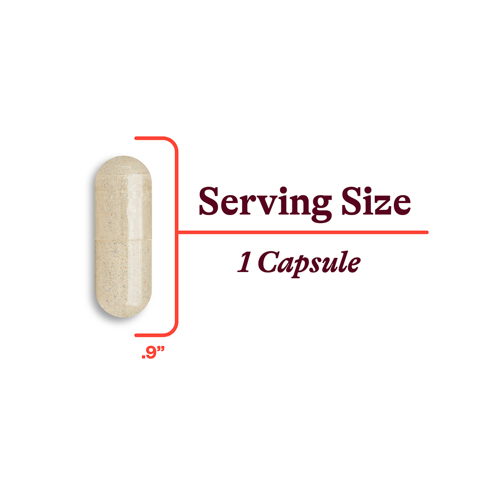 Multivitamin One MF Daily Vitamin Support for Convenient Nutrition Routines