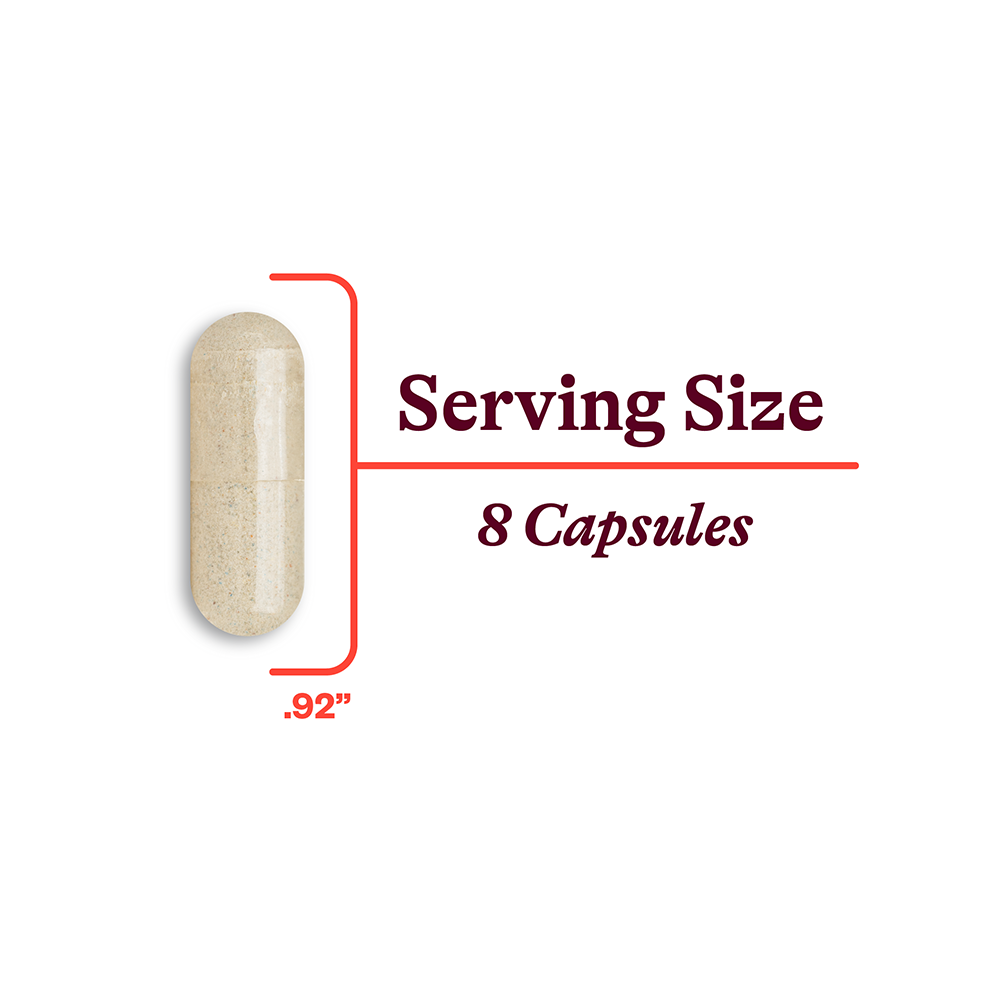 Optimal Multivitamin Everyday Vitamin Support for Simple Nutrition Routines