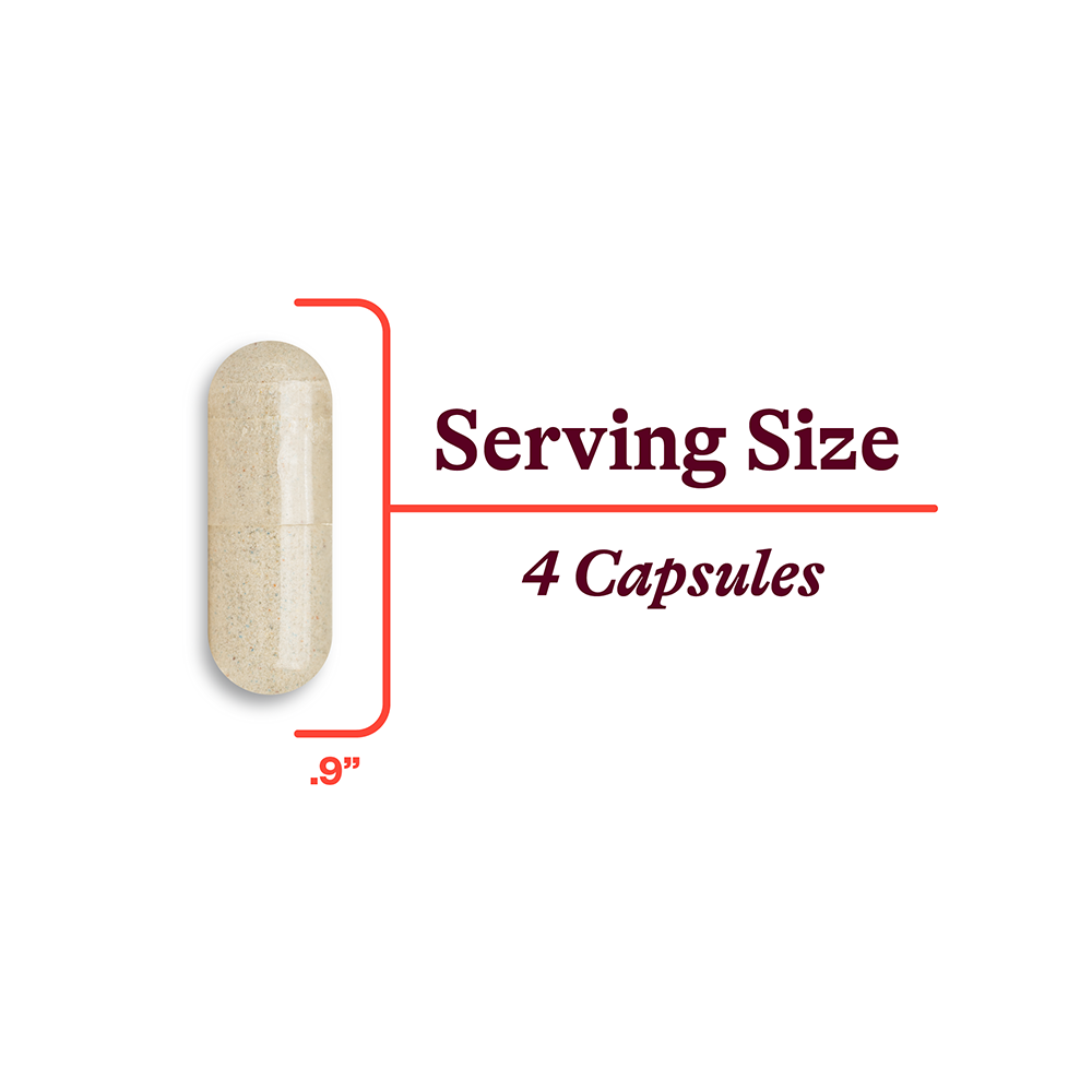 Multivitamin One Sensitive Daily Vitamin Support for Simple Nutrition Routines