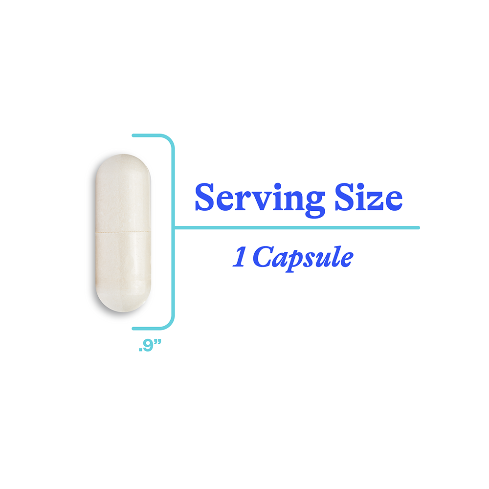 NAC Supplement N Acetyl L Cysteine Everyday Wellness Support for Simple Nutrition Routines