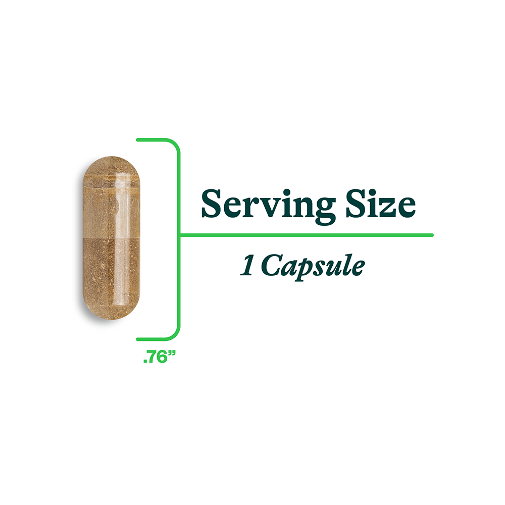 Ox Bile Daily Wellness Support for Simple Nutrition Routines