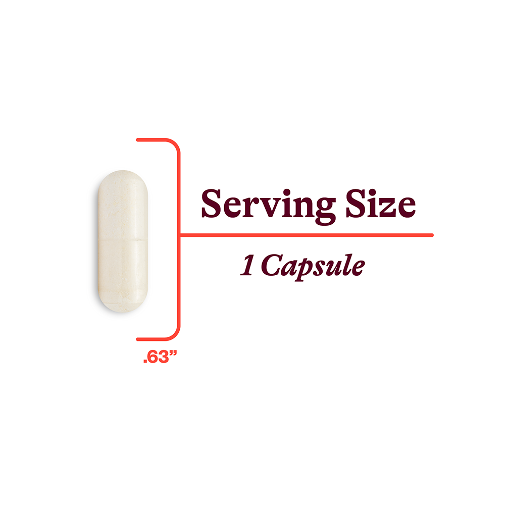 P 5 P Pyridoxal 5 Phosphate Everyday Nutritional Support for Simple Wellness Routines