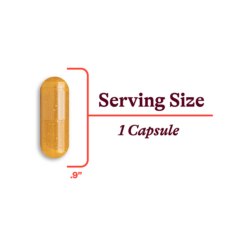 Riboflavin Daily Vitamin Support with Simple Nutrition Routines