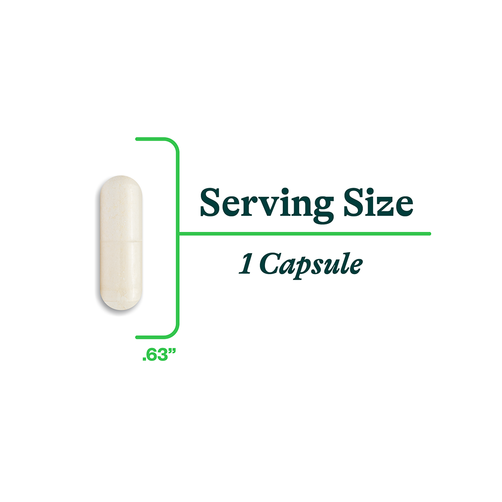 Zinc Carnosine Daily Mineral Support for Balanced Nutrition Routines