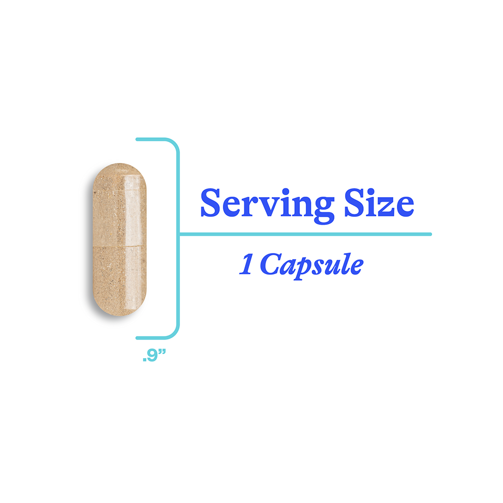 Stress Nutrients Daily Stress Response Support for Balanced Routines