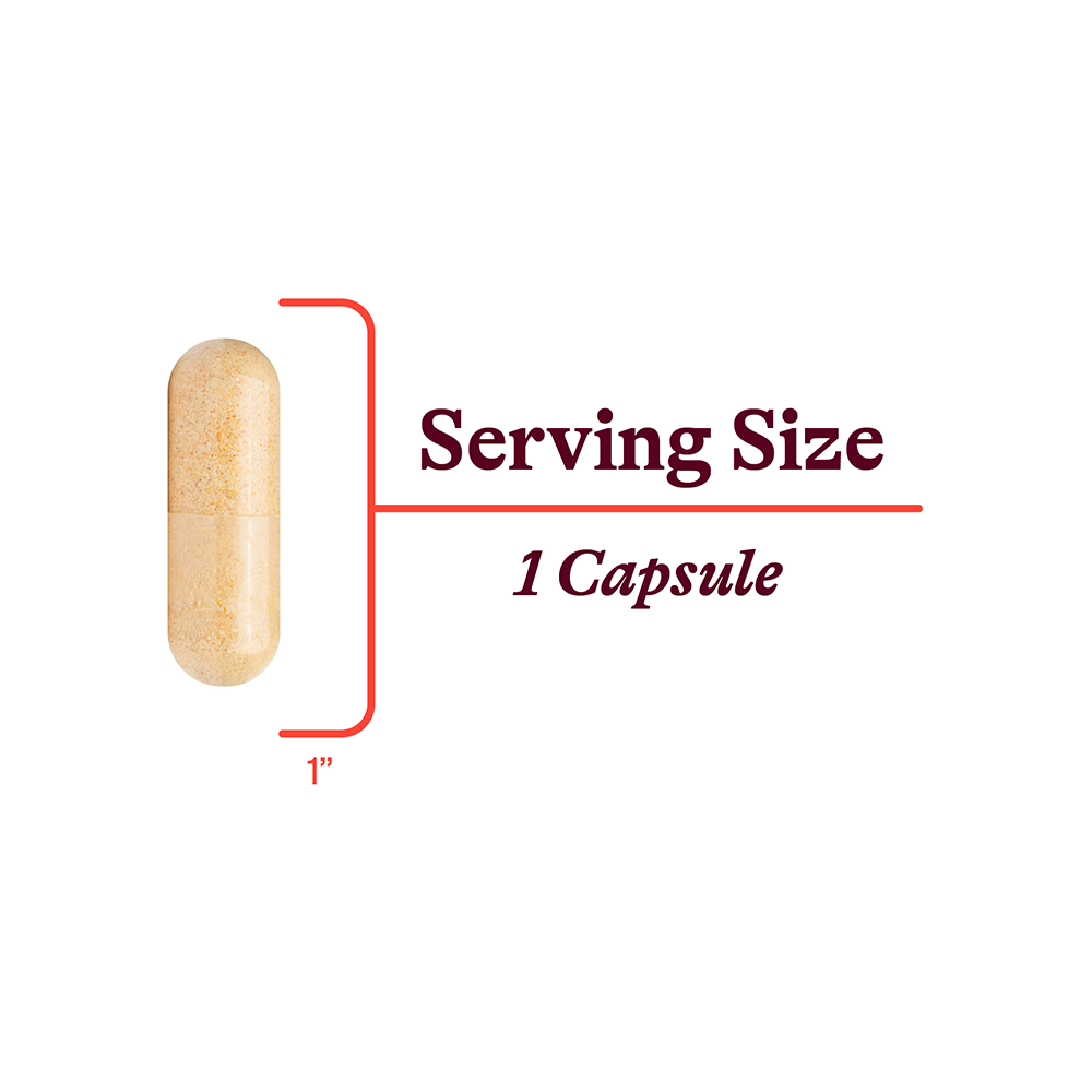 B Complex Plus Daily Vitamin Support for Simple Nutrition Routines