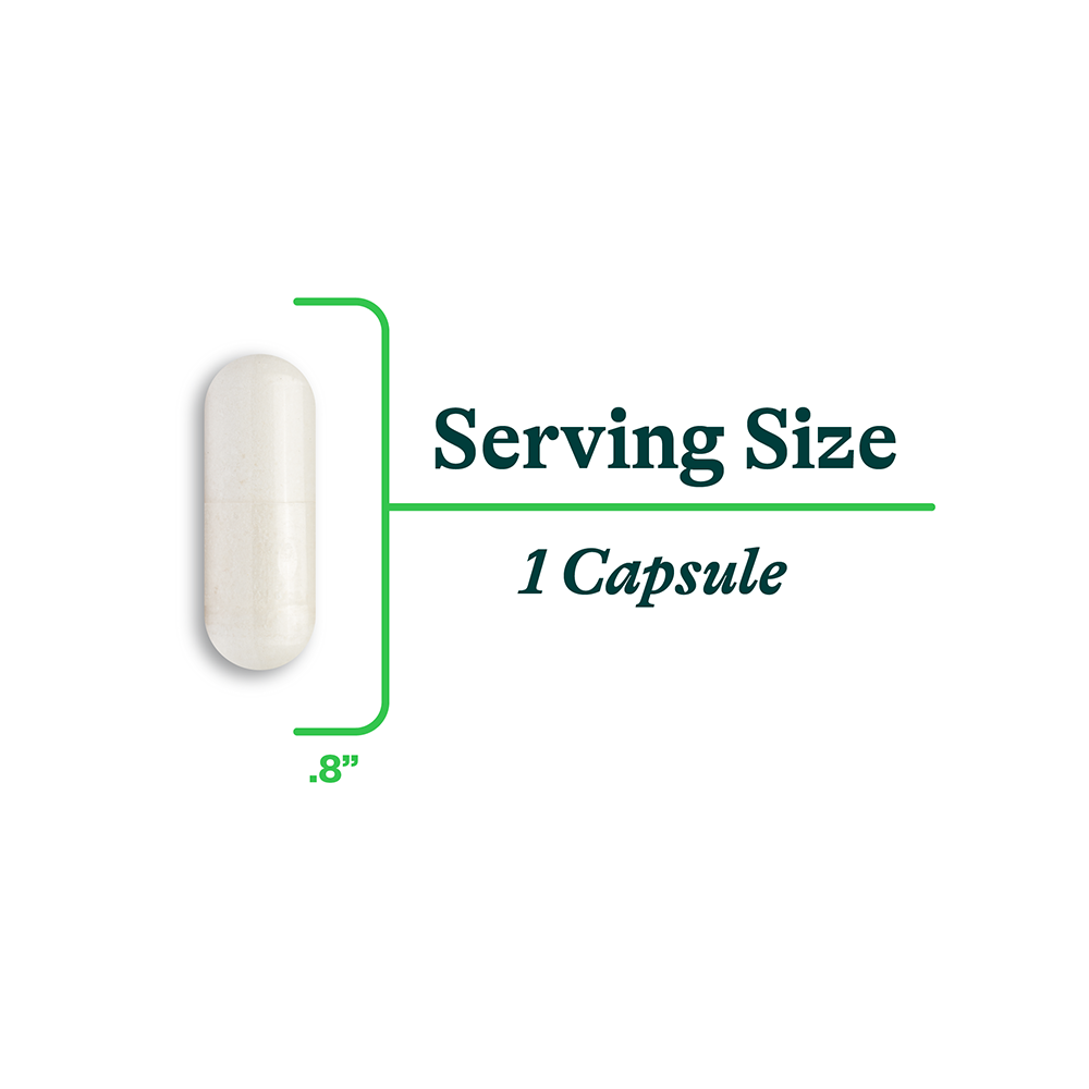 Calcium D Glucarate Everyday Mineral Support for Balanced Nutrition Routines