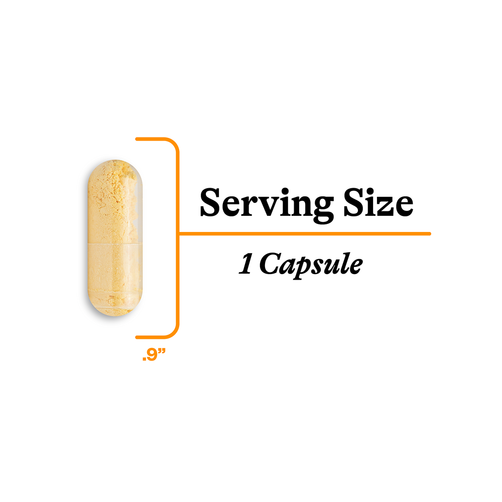 CoQ10 Daily Nutritional Support with Active Wellness Routines