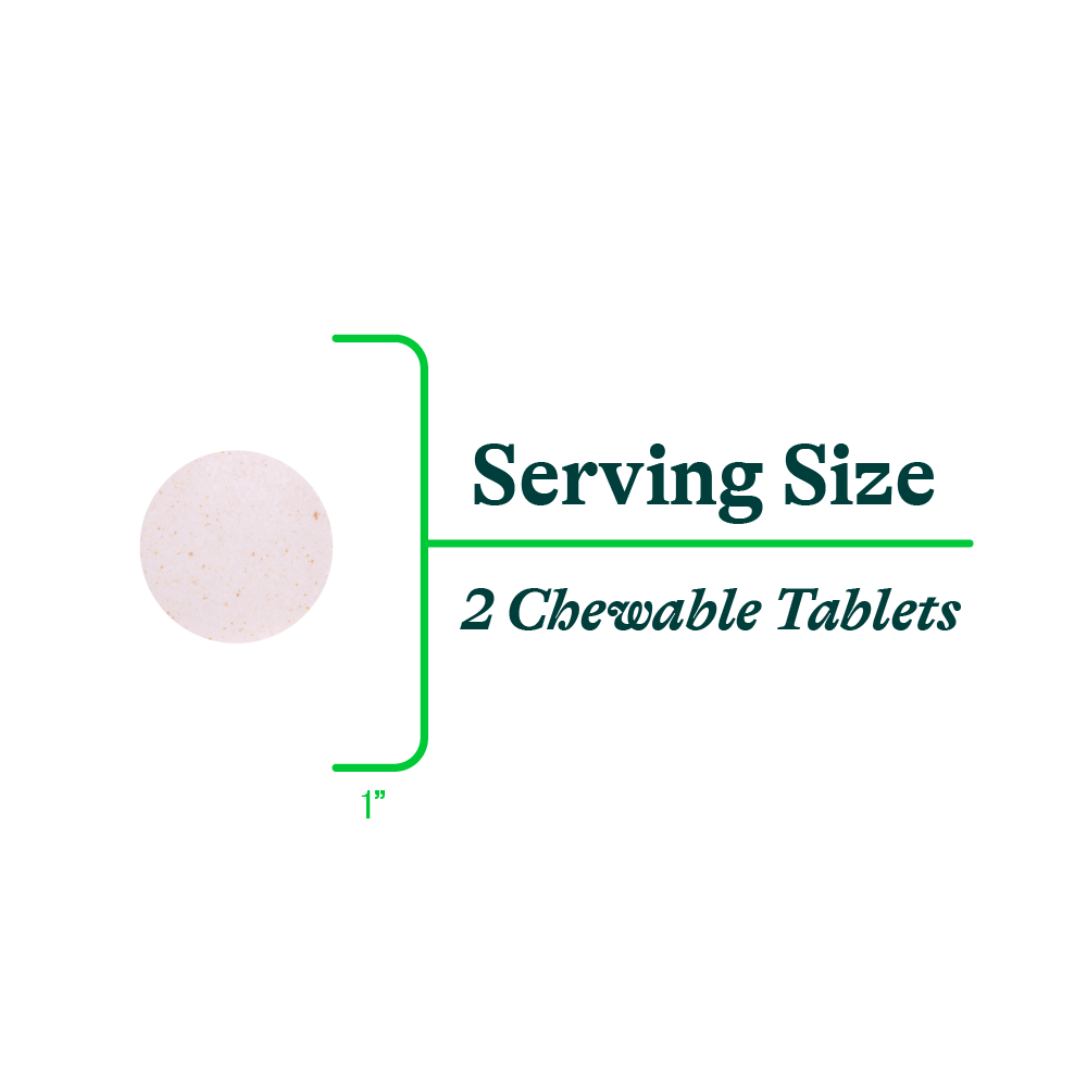 Digestive Enzymes Chewable Easy Chewable Supplement for Everyday Nutrition