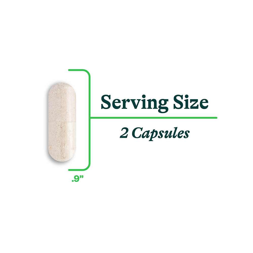 Digestive Enzymes Daily Digestive Wellness Support for Everyday Routines