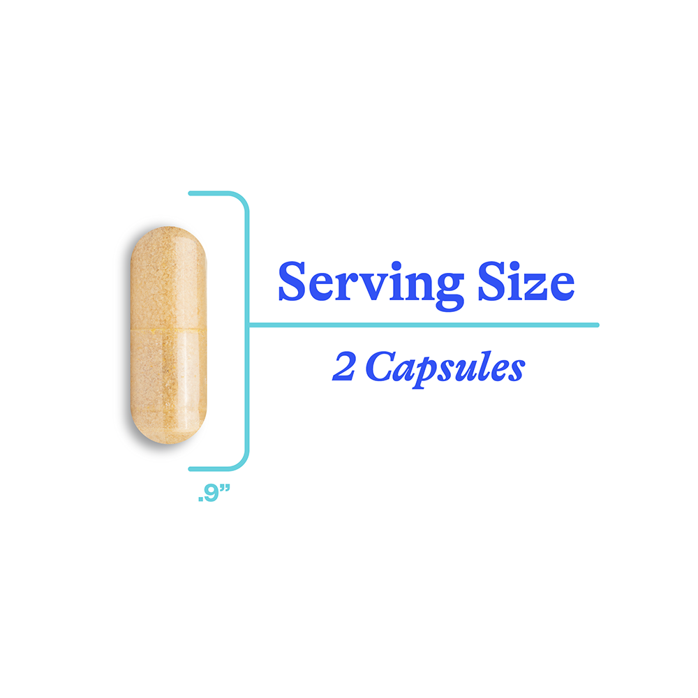 Dopamine Nutrients Daily Cognitive Wellness Support for Focused Routines