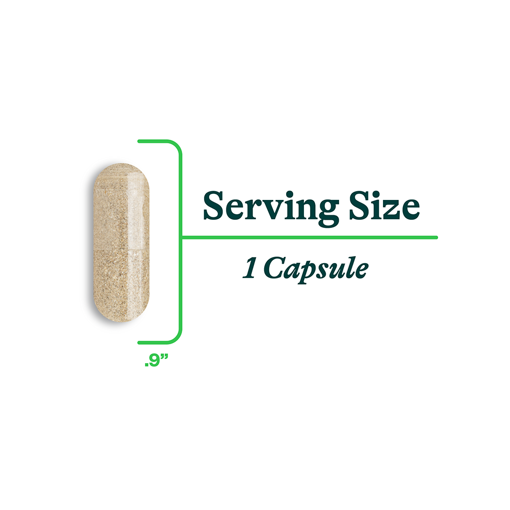 Bile Nutrients Daily Wellness Support for Convenient Nutrition Routines