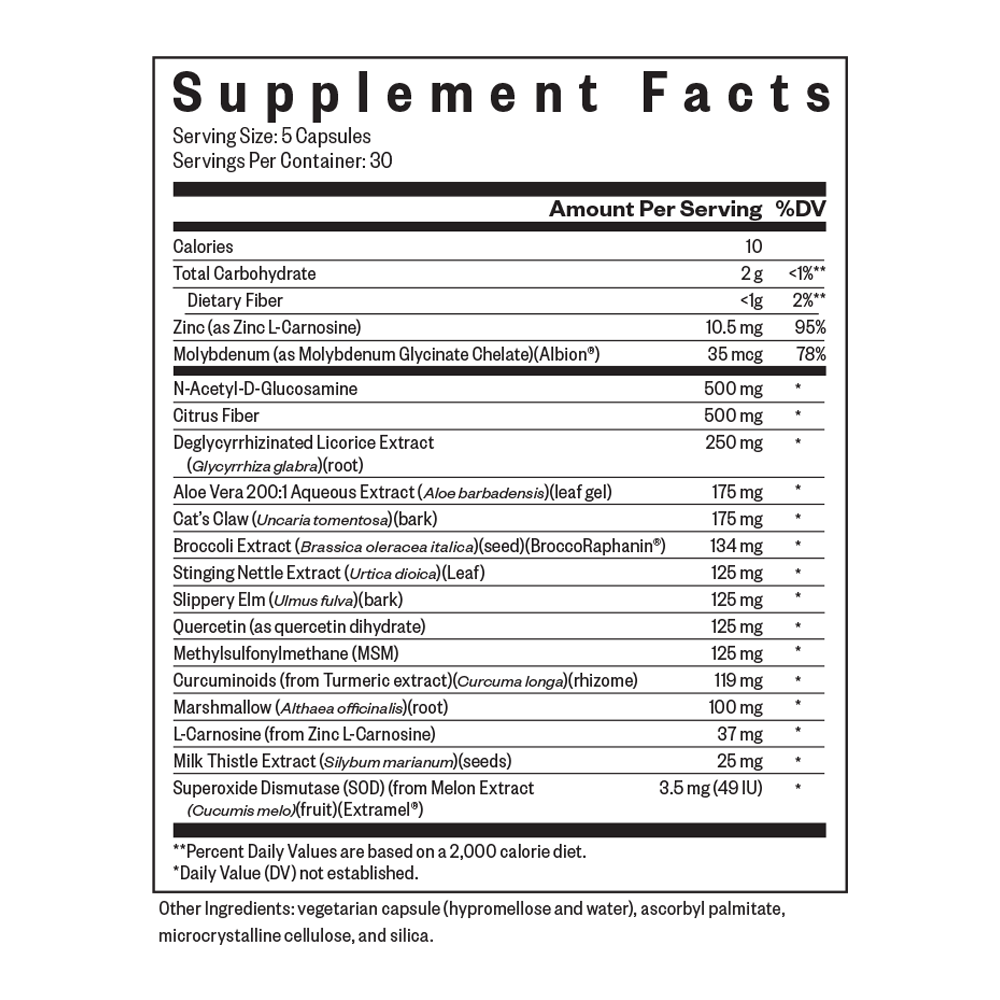 Gut Nutrients Everyday Digestive Wellness Support for Everyday Routines