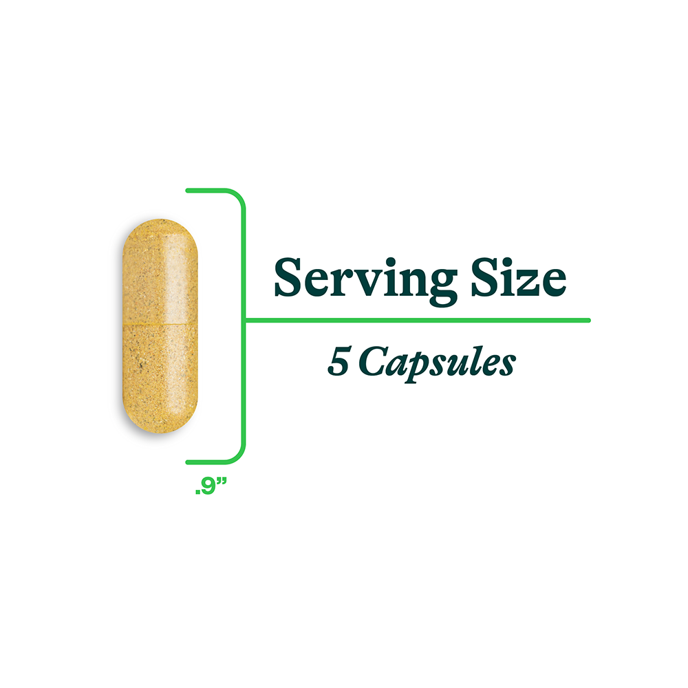 Gut Nutrients Everyday Digestive Wellness Support for Everyday Routines