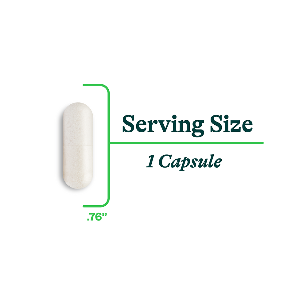 DAO Enzyme Daily Digestive Wellness Support with Everyday Routines