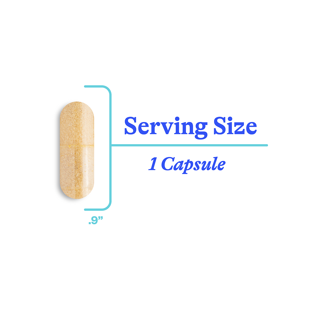 Homocysteine Nutrients Daily Nutritional Support for Simple Wellness Routines