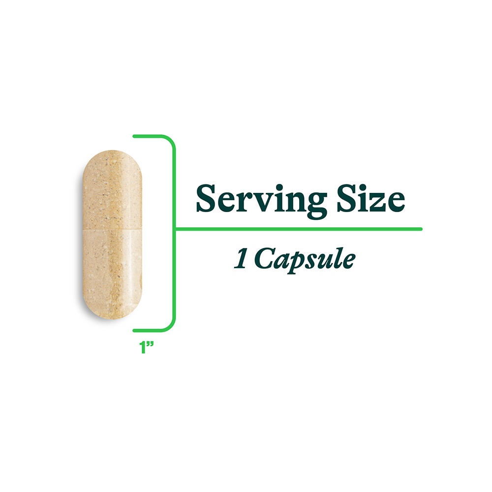Liver Nutrients Daily Wellness Support for Convenient Nutrition Routines
