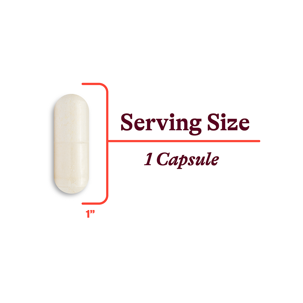 Optimal Magnesium Daily Mineral Support for Balanced Nutrition Routines
