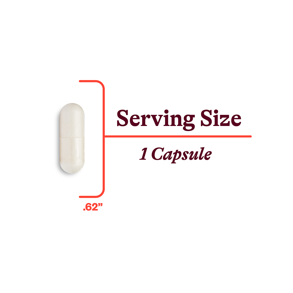 Niacin Daily Vitamin Support with Simple Nutrition Routines