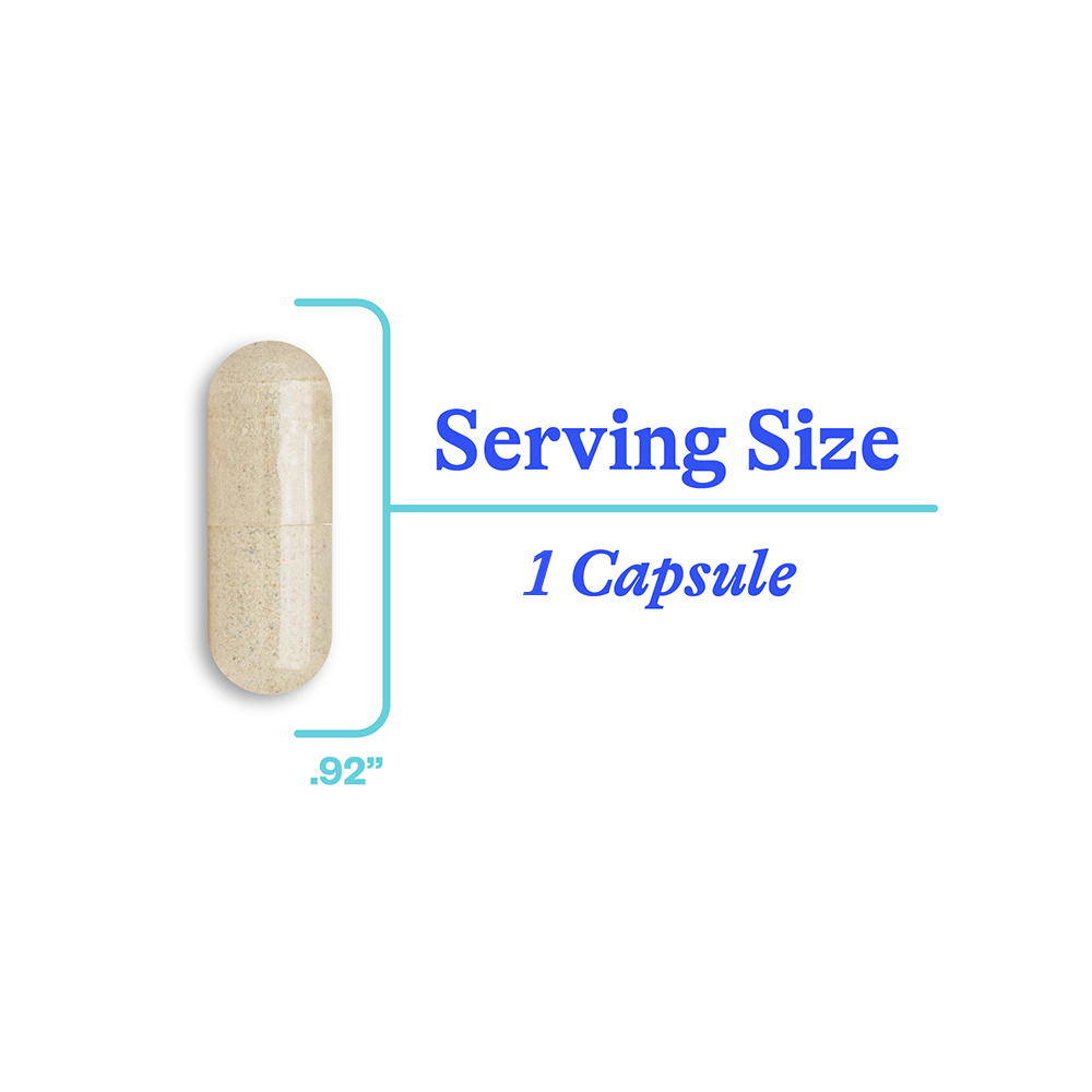 Optimal Focus Everyday Cognitive Wellness Support for Focused Routines