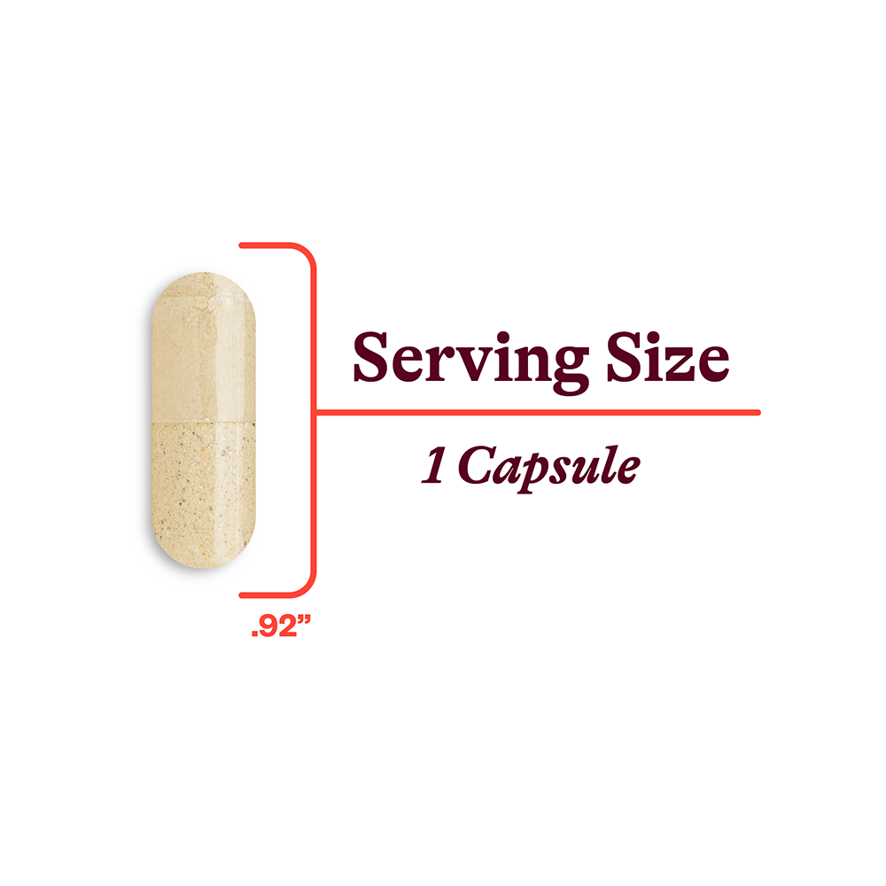 Multivitamin One Everyday Vitamin Support for Simple Nutrition Routines