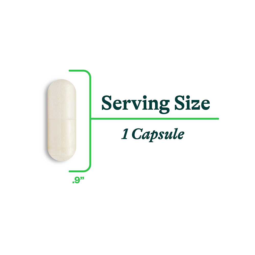 ProBiota HistaminX Daily Digestive Wellness Support for Everyday Routines