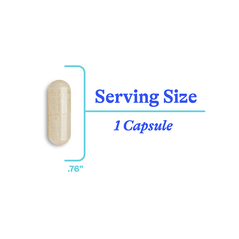 Phosphatidyl Serine Daily Cognitive Wellness Support with Focused Routines
