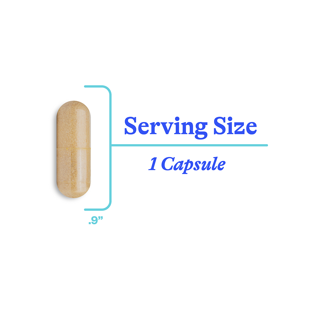 Serotonin Nutrients Daily Cognitive Wellness Support for Focused Routines