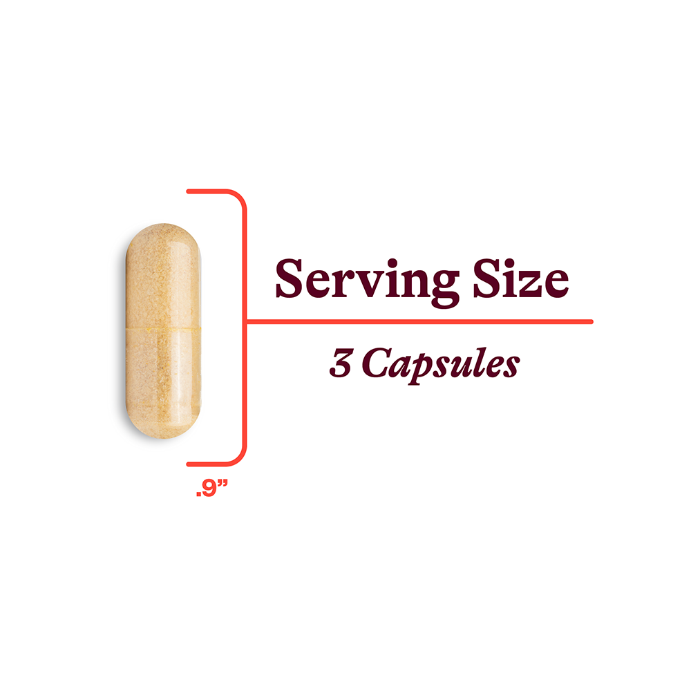 Skin Nutrients Everyday Nutritional Support for Skin Wellness Routines